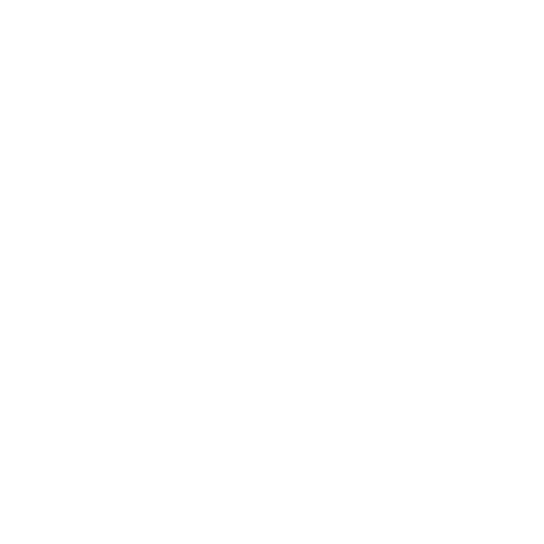Chauffeurs expérimentés et professionnels